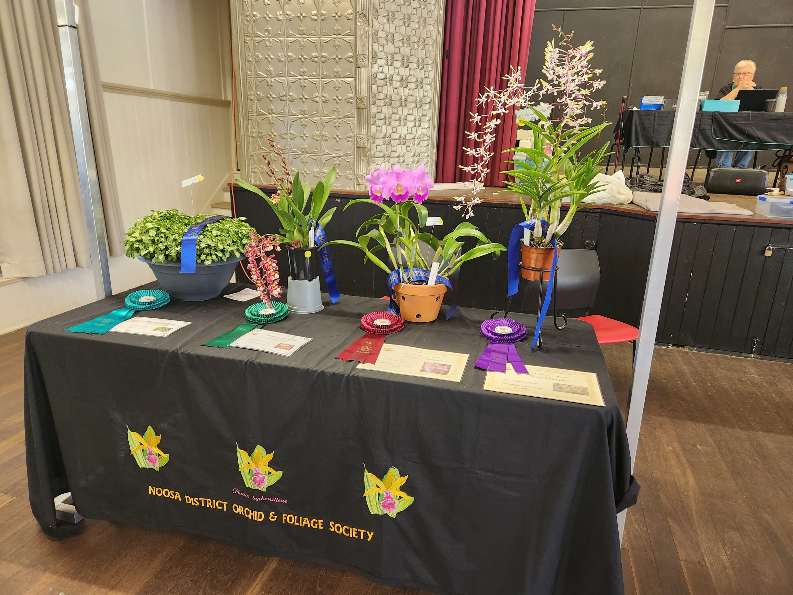 Noosa District Orchid & Foliage Society show